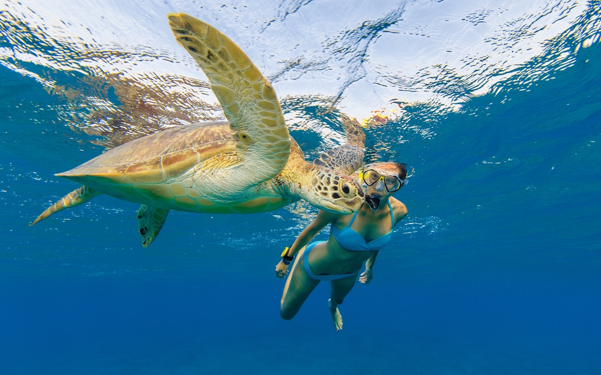 Snorkeler swimming with a sea turtle in Tenerife waters.