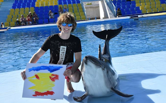 premium 10 minutes dolphin swimming experience - hurghada-6