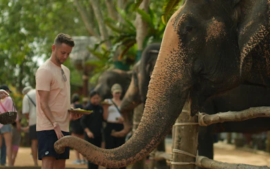 Man feeding elephant at Half Day Elephant Home Sanctuary in Samui.
