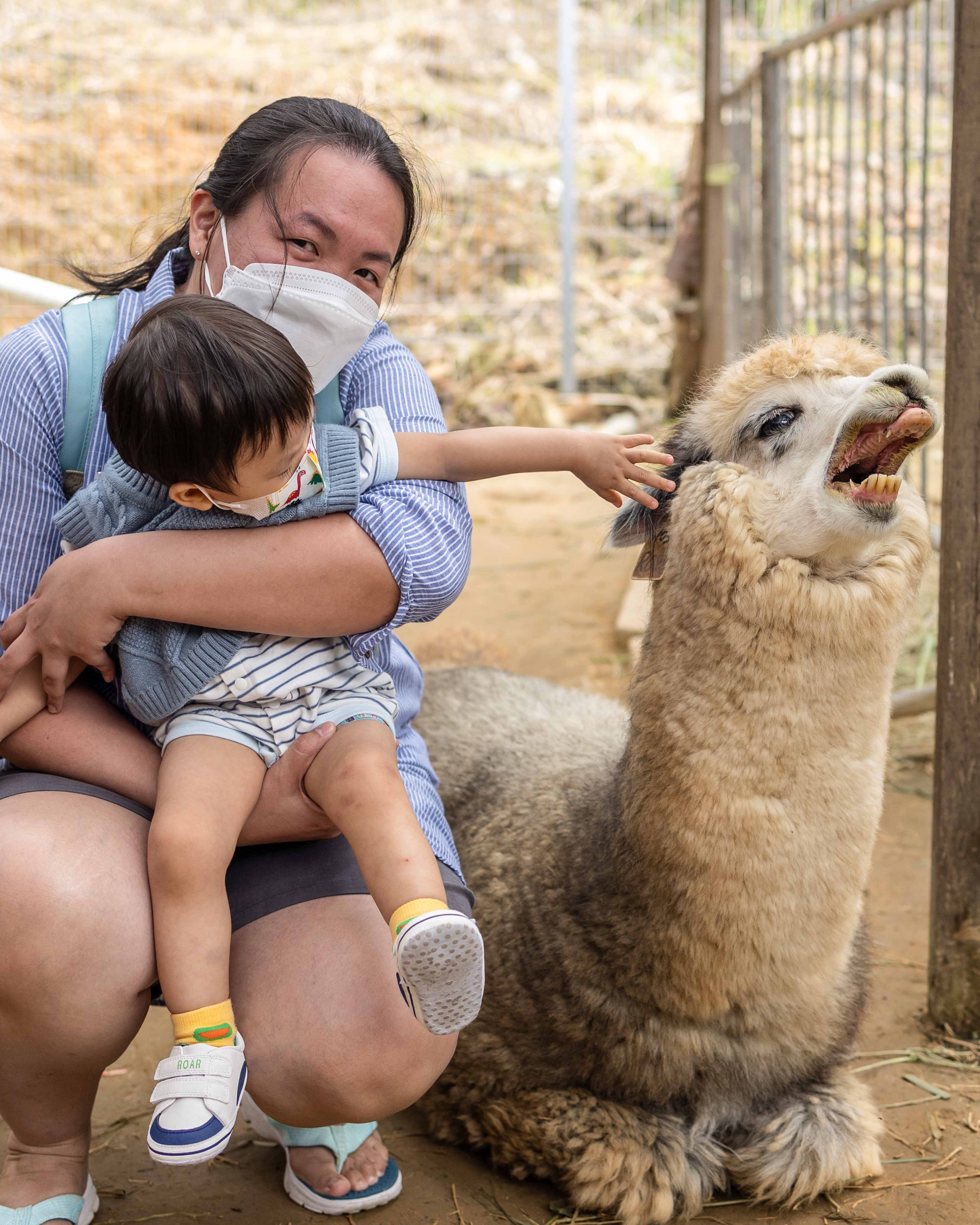 Ingressos para o Farm in the City Malásia: Savana