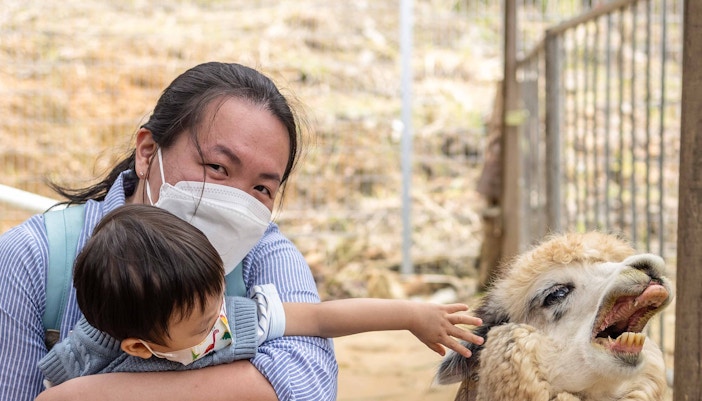 Farm in the City Malaysia tickets - Savannah