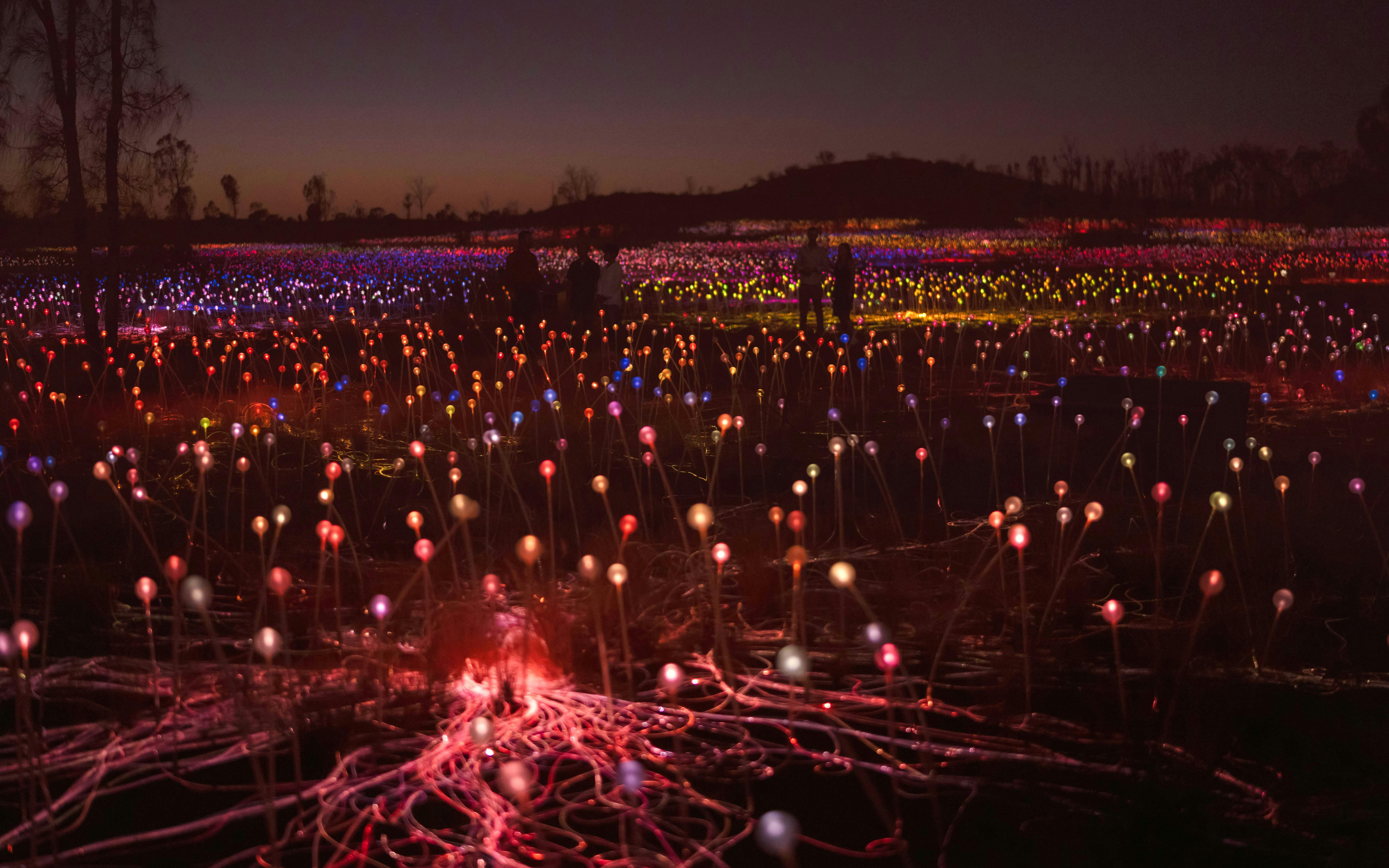 Uluru Field of Light installation at sunrise with colorful illuminated spheres.