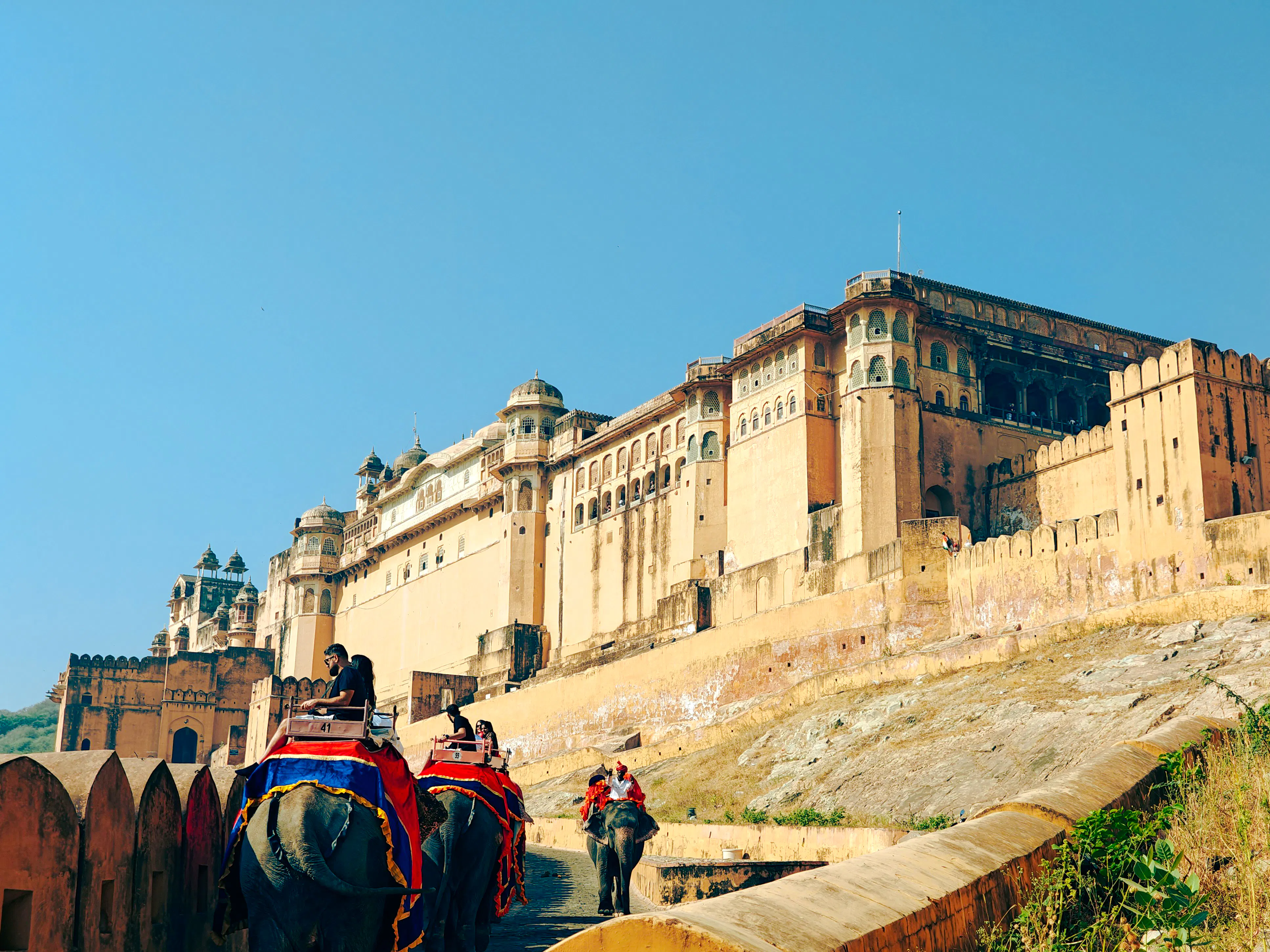 Elephant ride approaching Amer Fort in Jaipur during a half-day city tour.