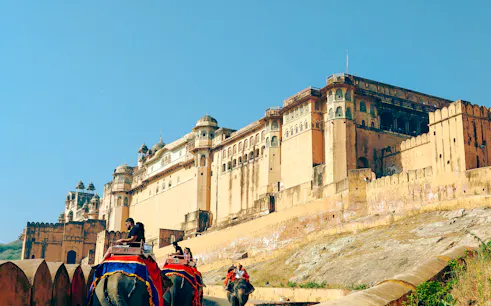 Elephant ride approaching Amer Fort in Jaipur during a half-day city tour.