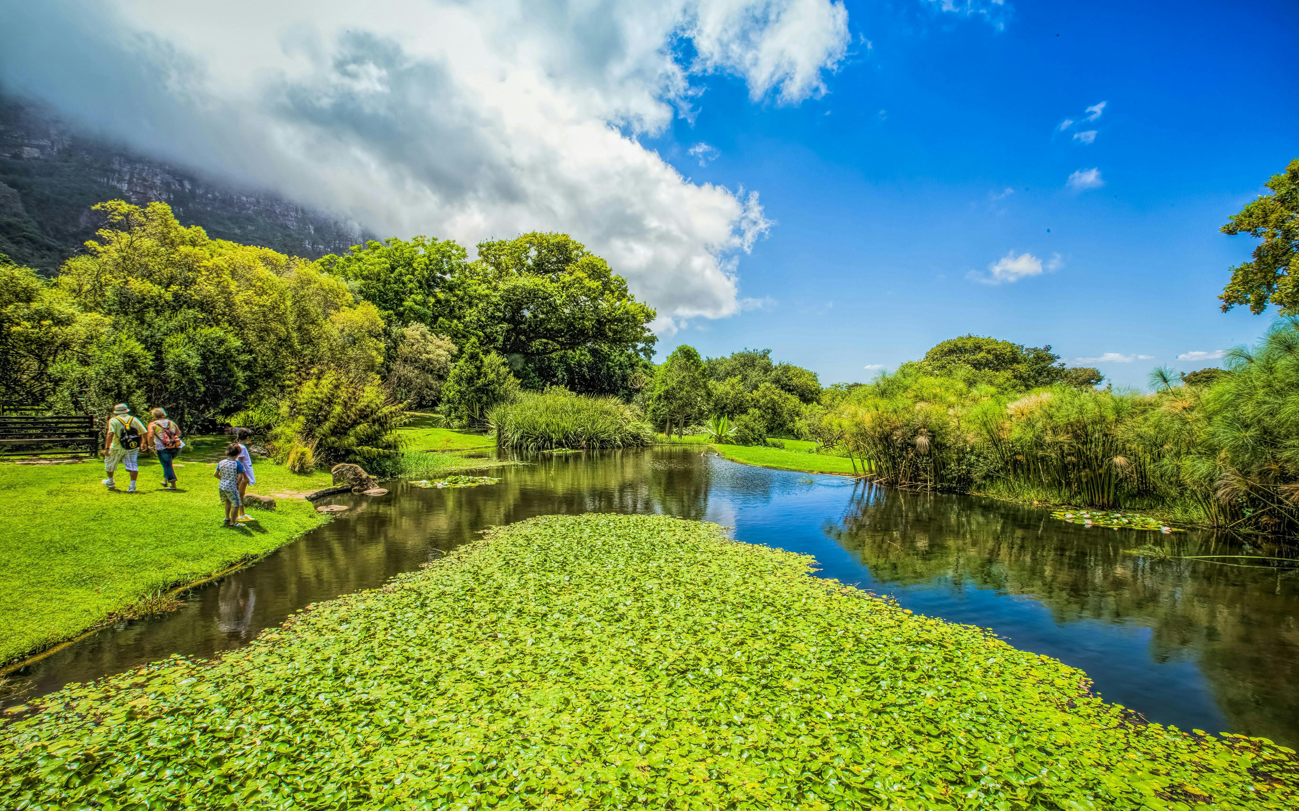 Visitors walking by a pond in Kirstenbosch National Botanical Garden, surrounded by lush greenery.