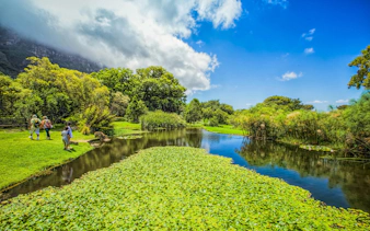 Visitors walking by a pond in Kirstenbosch National Botanical Garden, surrounded by lush greenery.
