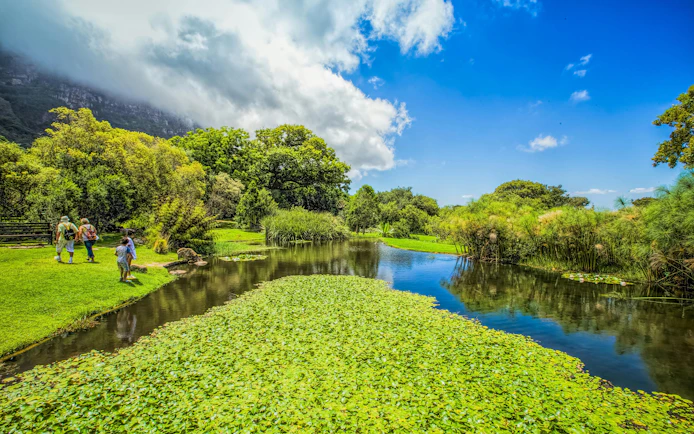 Visitors walking by a pond in Kirstenbosch National Botanical Garden, surrounded by lush greenery.