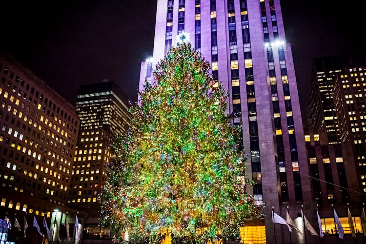 Rockefeller Center Christmas Tree