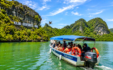 Langkawi Shared Shore Excursion: Cable Car, Sky Bridge & Kilim Geoforest Park Mangrove Tour