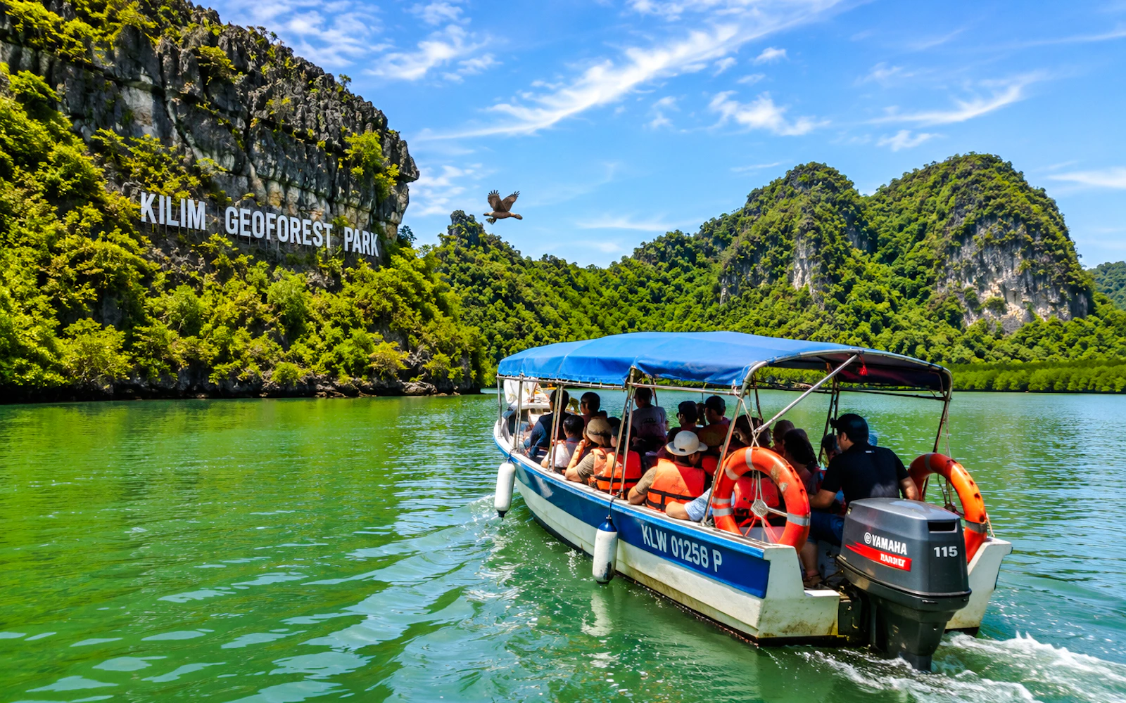 Langkawi Shared Shore Excursion: Cable Car, Sky Bridge & Kilim Geoforest Park Mangrove Tour Image 5