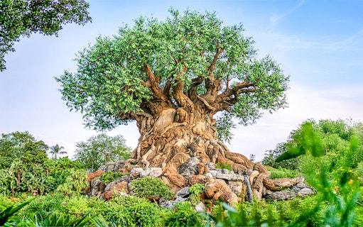 Tree of Life with animal carvings at Animal Kingdom, Walt Disney World Resort, Orlando.