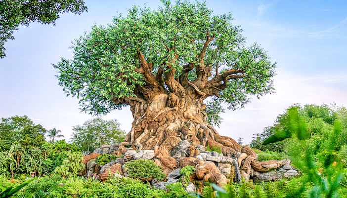 Tree of Life with animal carvings at Animal Kingdom, Walt Disney World Resort, Orlando.