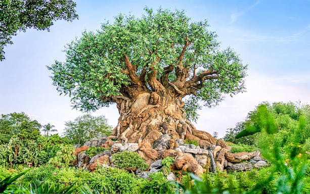 Tree of Life with animal carvings at Animal Kingdom, Walt Disney World Resort, Orlando.