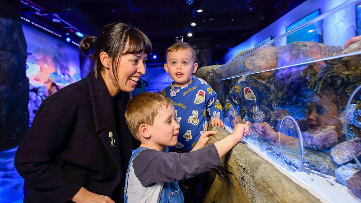 Family exploring SEA LIFE London aquarium exhibit.