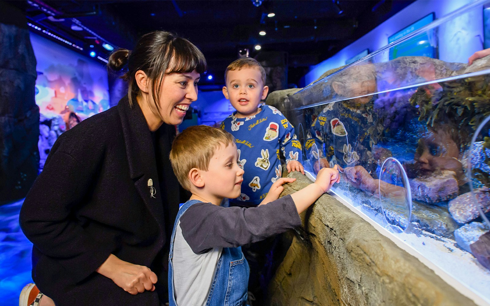 SEA LIFE London Aquarium