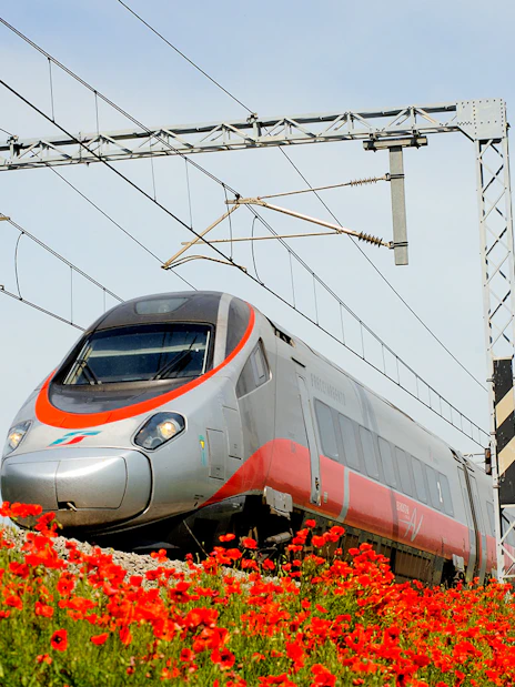 Trenitalia train traveling through a field of red poppies, Interrail Global Mobile Pass.