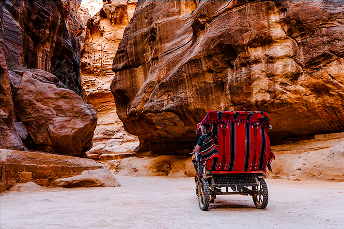 Horse-drawn carriage in the narrow canyon of Petra, Jordan, during a guided tour from Amman.