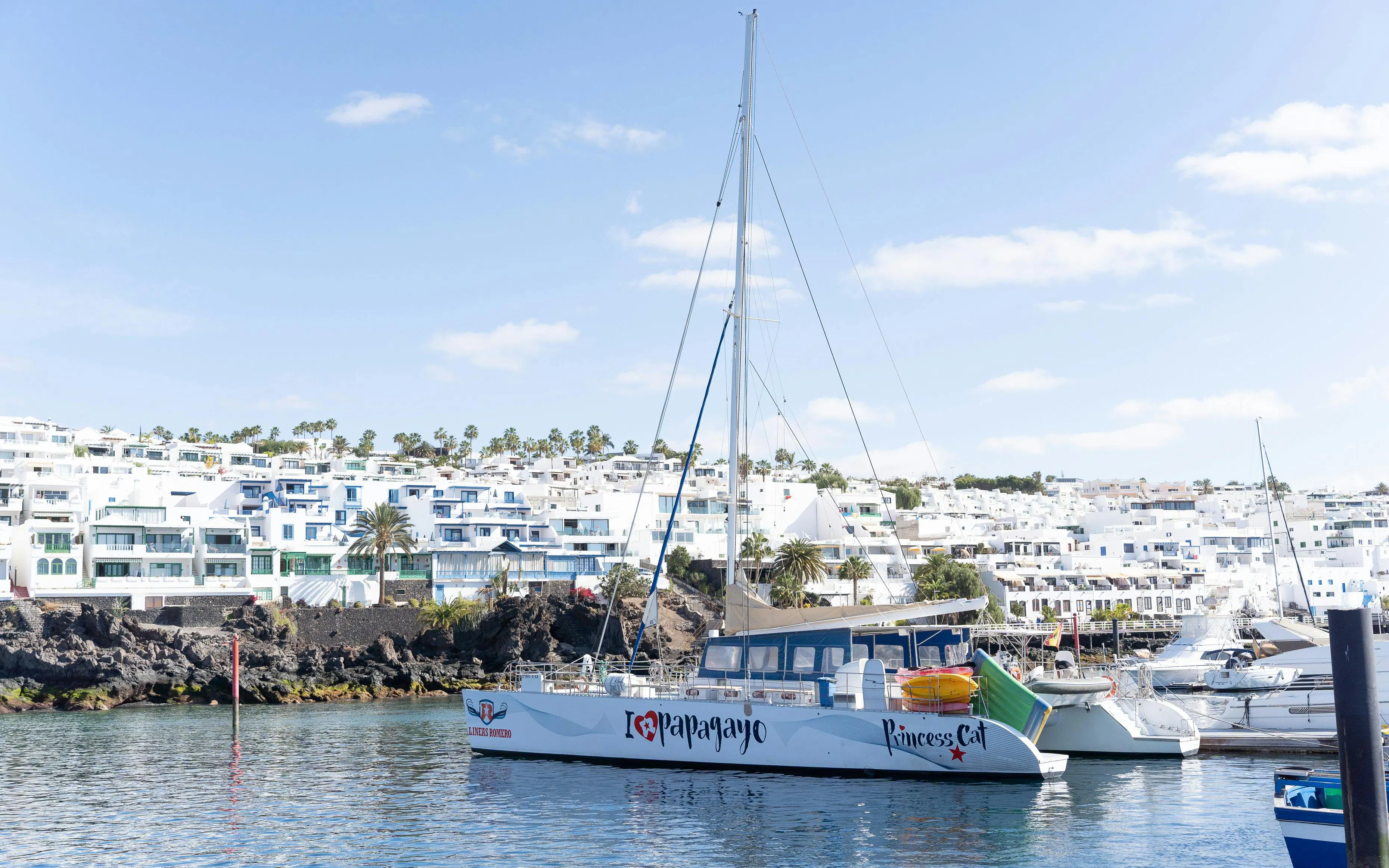 Catamaran in Lanzarote harbor with white buildings and palm trees in the background.