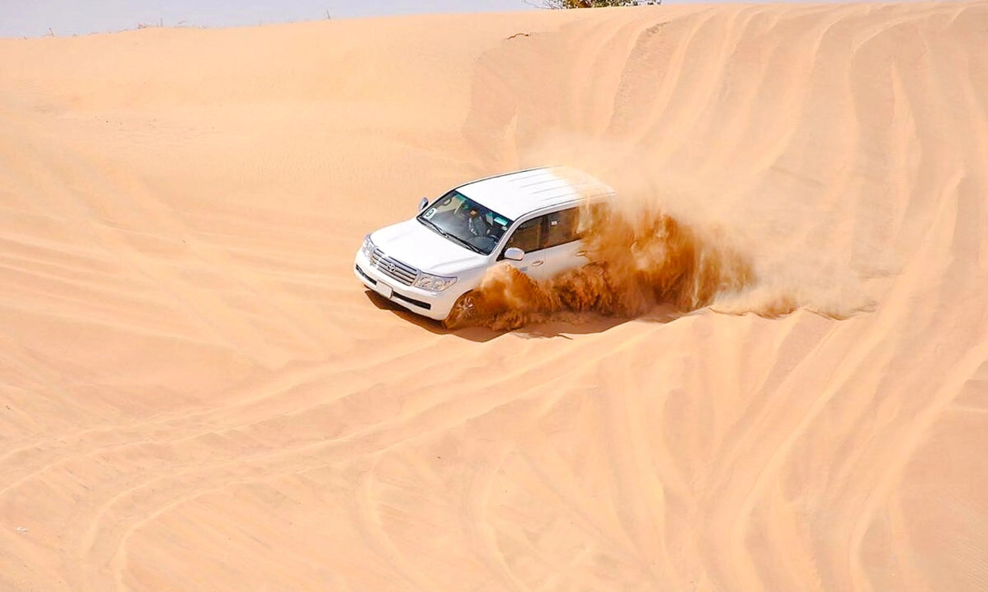 doha private city tour & desert safari with national museum of qatar and museum of islamic art entry-6