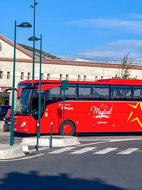 Shuttle bus at Disneyland Paris station for CDG/ORY airport transfer.