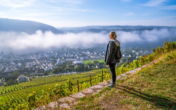 Female guest overlooking Rhine Valley vineyards and village.