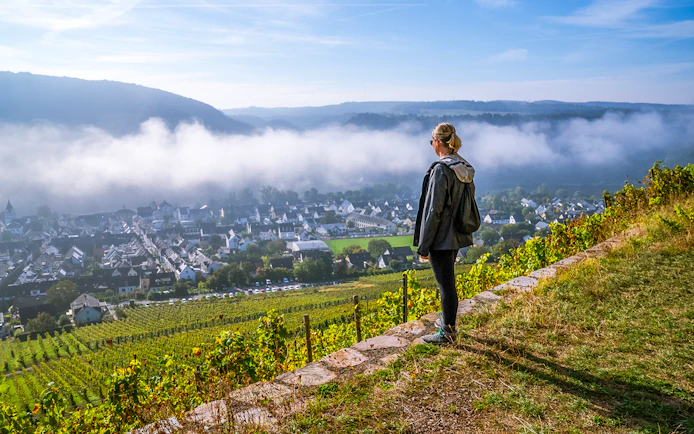 Female guest overlooking Rhine Valley vineyards and village.