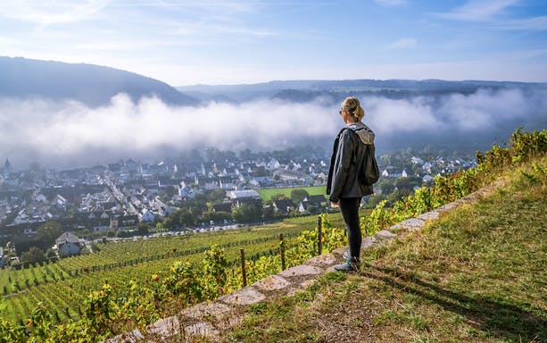 Female guest overlooking Rhine Valley vineyards and village.