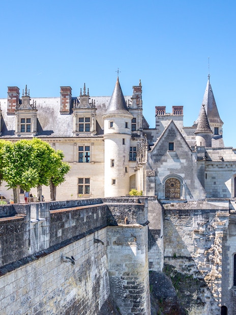 Blois Castle with turrets and trees, Loire Valley, France.