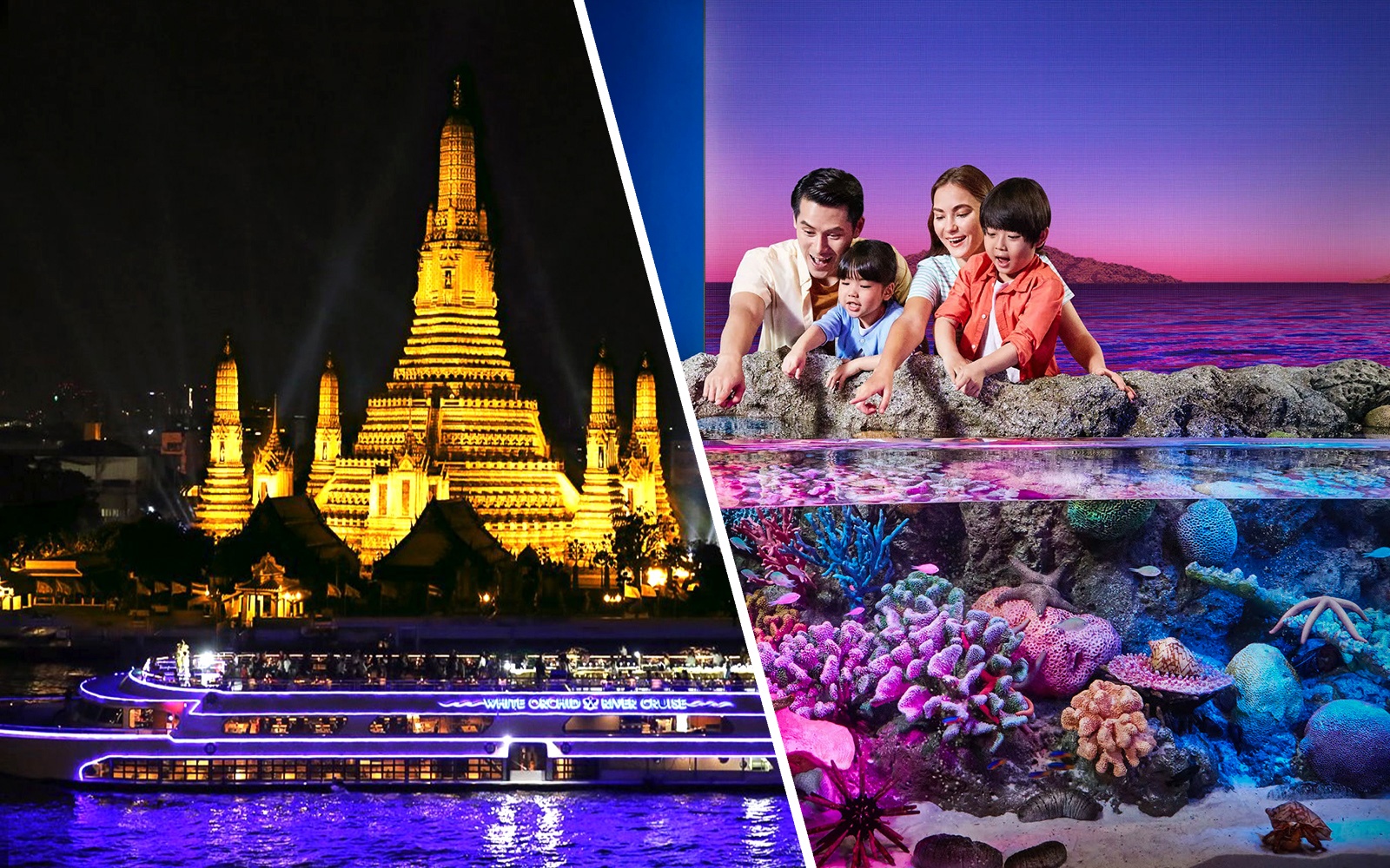 River cruise boat illuminated at night passing Wat Arun temple in Bangkok.