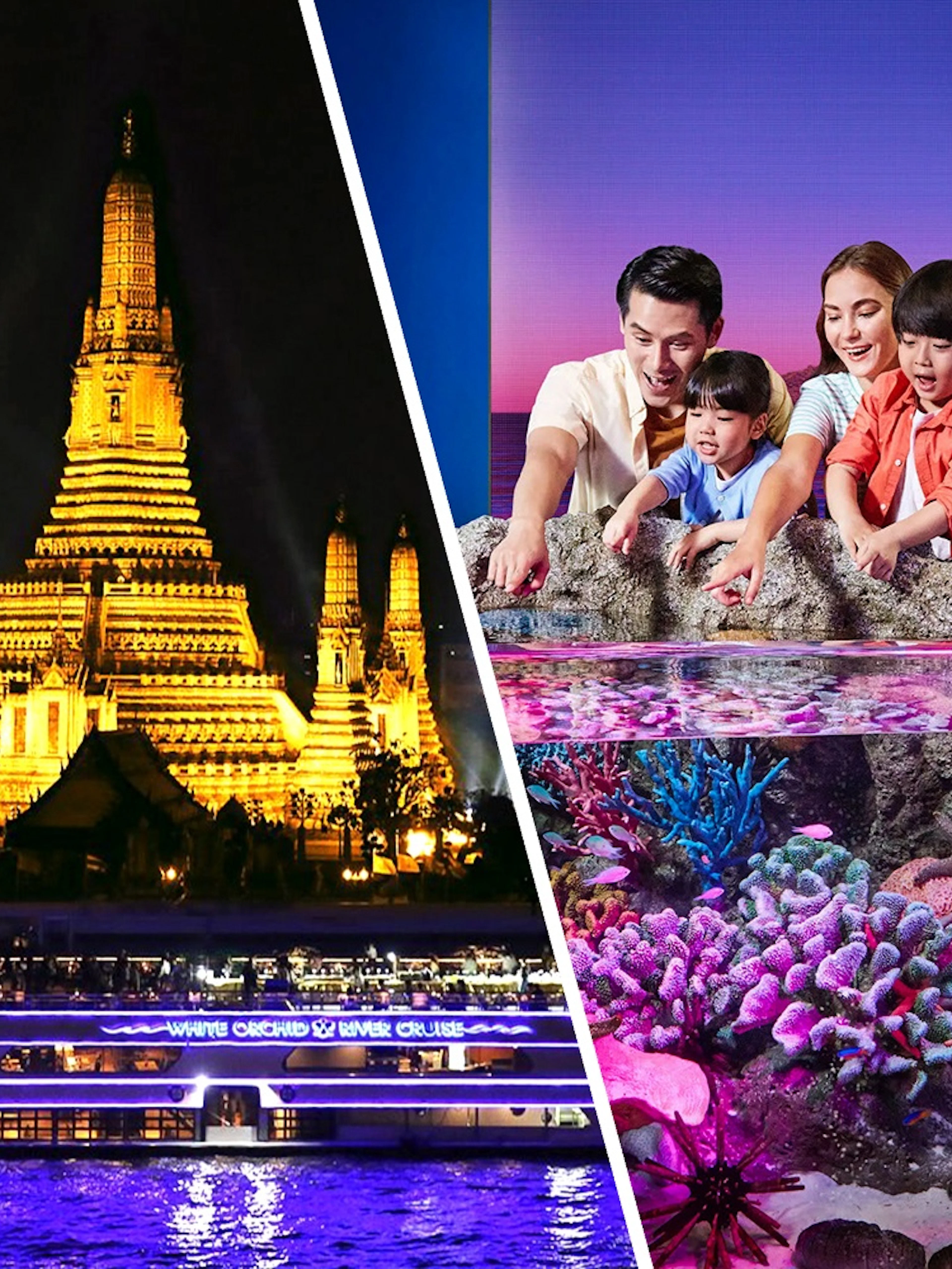 River cruise boat illuminated at night passing Wat Arun temple in Bangkok.