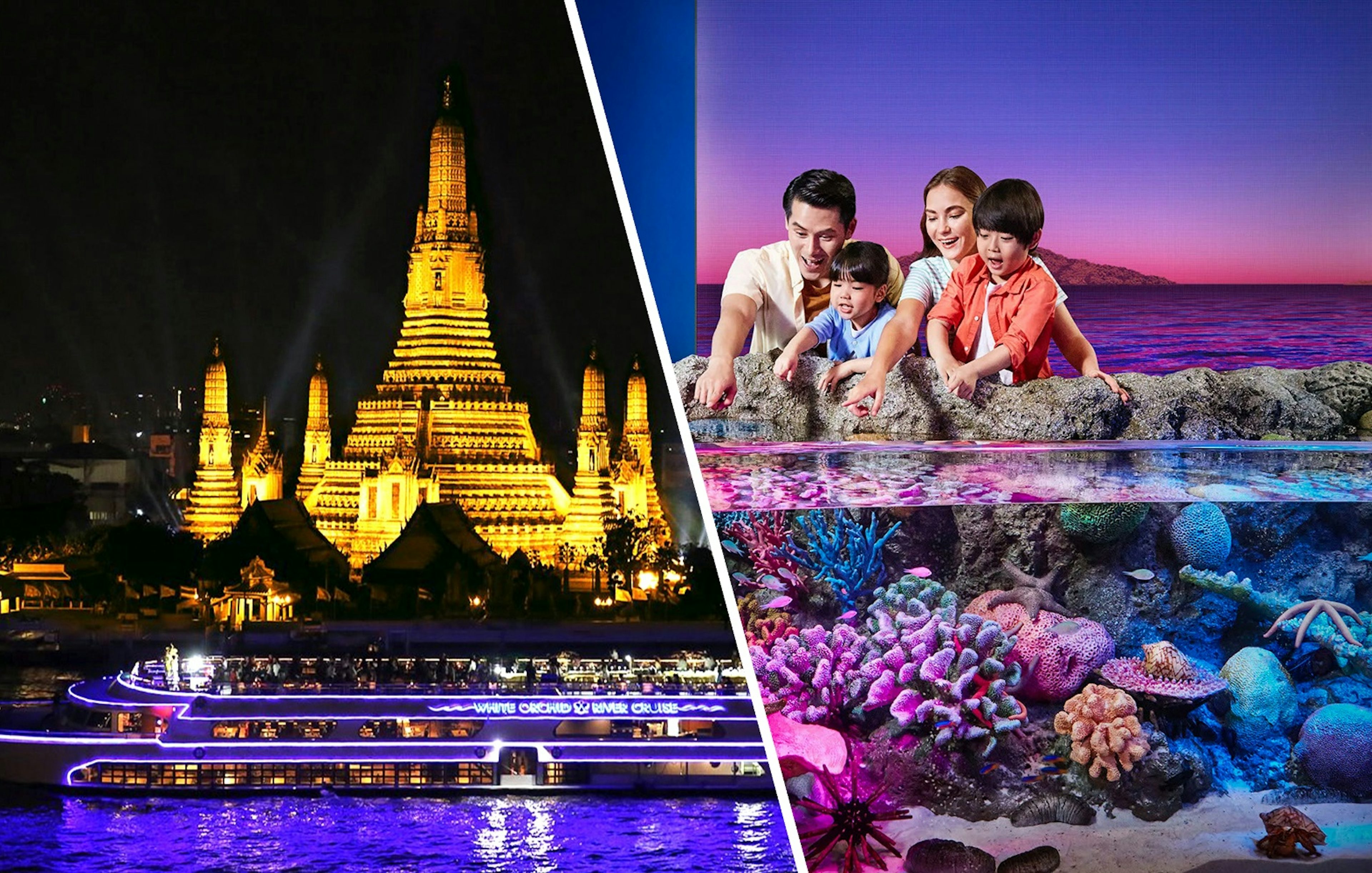 River cruise boat illuminated at night passing Wat Arun temple in Bangkok.
