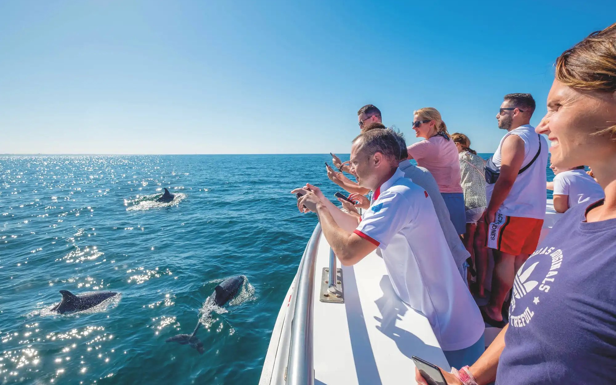 Tourists on catamaran watching dolphins in the ocean.