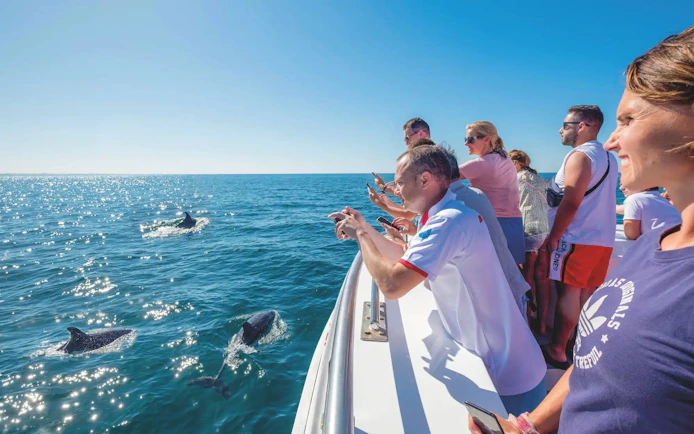 Tourists on catamaran watching dolphins in the ocean.