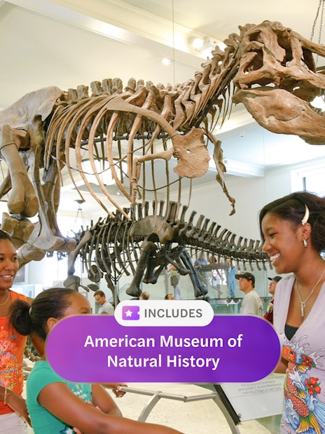 American Museum of Natural History dinosaur exhibit with visitors in New York.