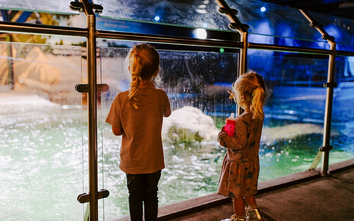 Children observing marine life at SEA Life Brighton aquarium.