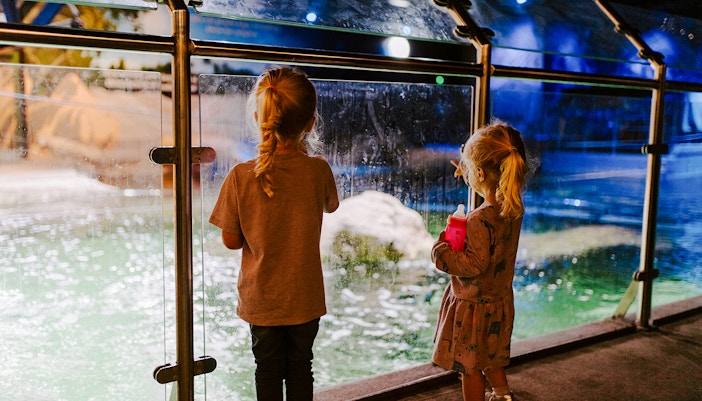 guests at an aquarium