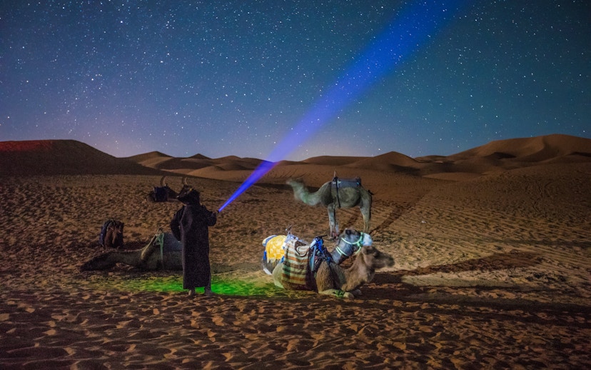 Camel safari under starry sky in Doha desert at night.