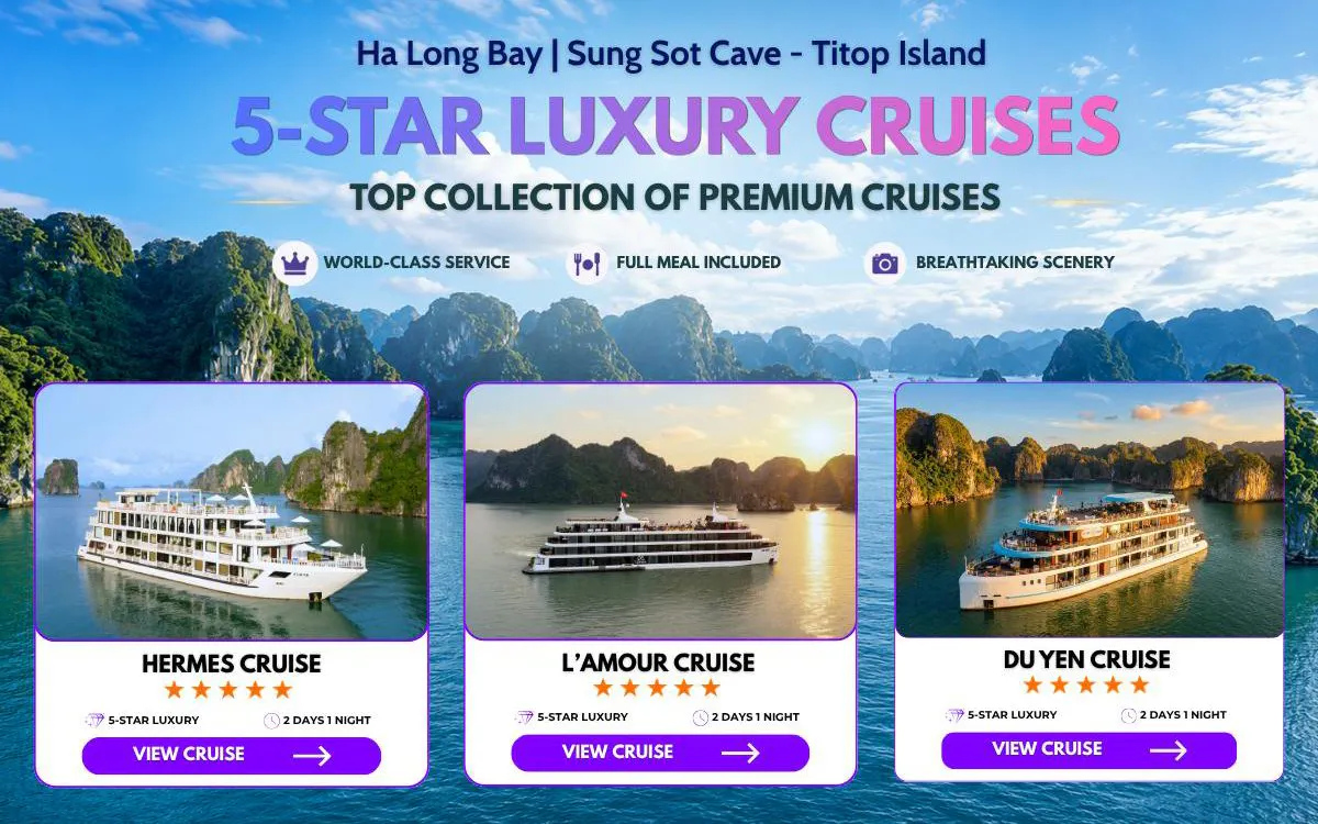 Ha Long Bay 5-star cruises with views of limestone islands and Sung Sot Cave.