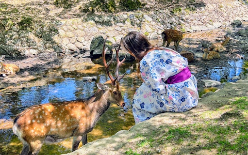 Person in traditional attire interacting with deer in Nara Park, Japan.