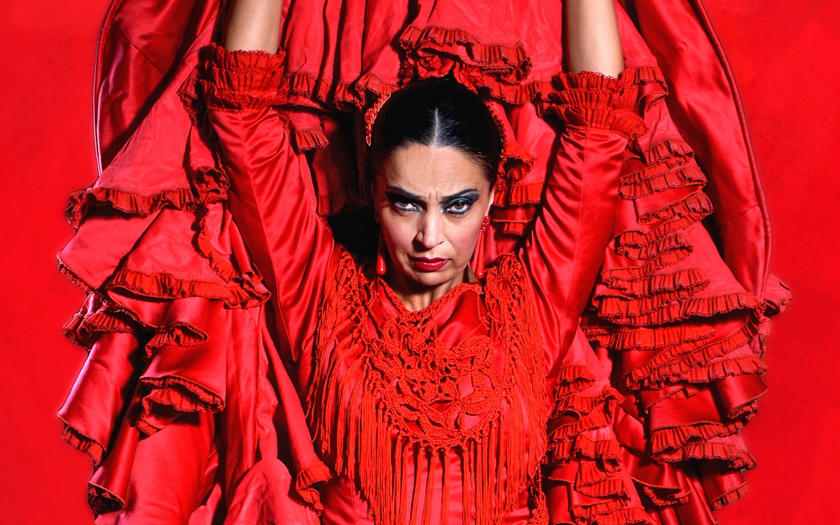 Flamenco dancer in red dress performing Pasión espectáculo flamenco.