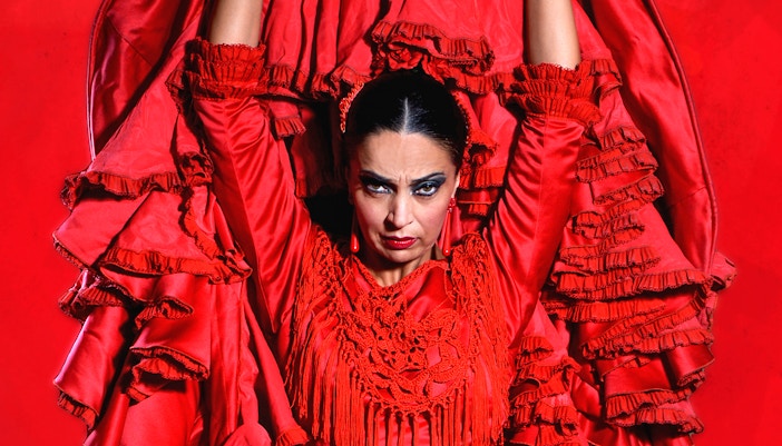 Flamenco dancer in red dress performing Pasión espectáculo flamenco.