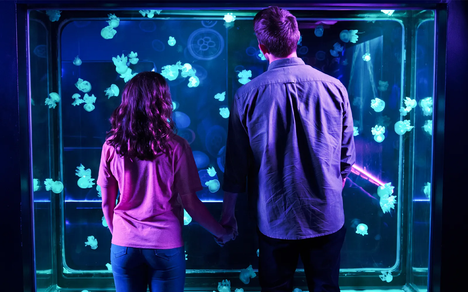 Visitors viewing jellyfish at Sea Life New Jersey exhibit.