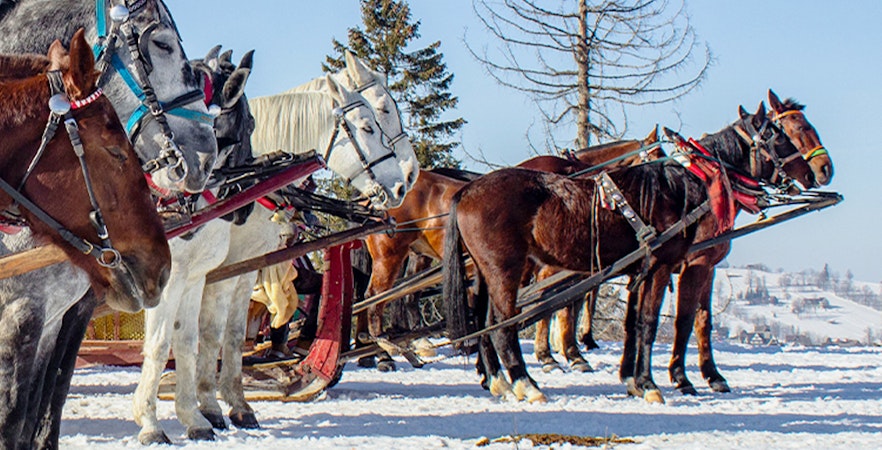 Sleigh Ride Zakopane