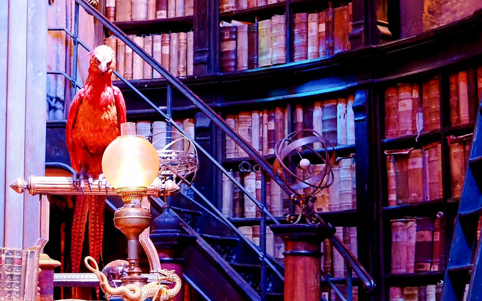 Phoenix perched in Professor Dumbledore’s office with bookshelves and astrolabe.