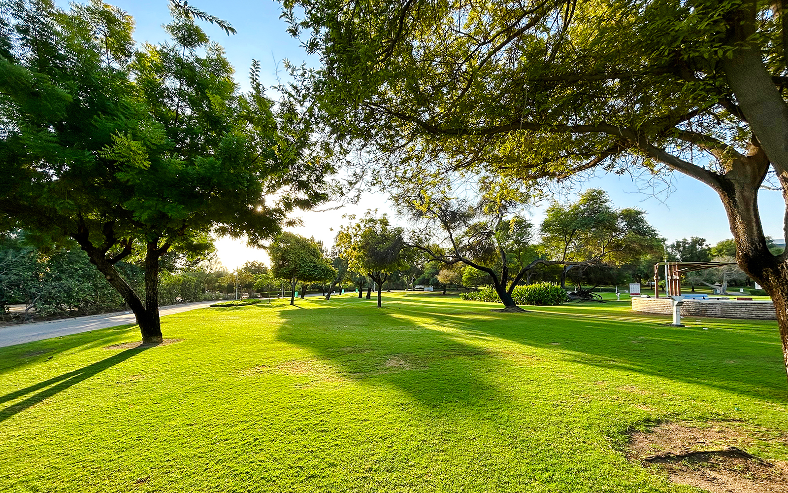 Lush green park with trees and walking path in Dubai.