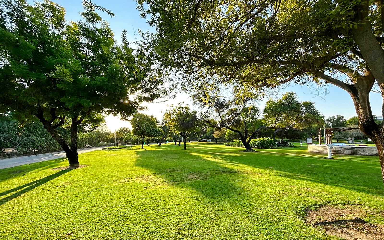 Lush green park with trees and walking path in Dubai.