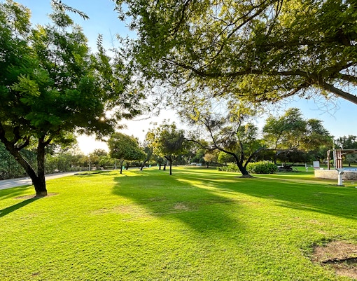 Lush green park with trees and walking path in Dubai.