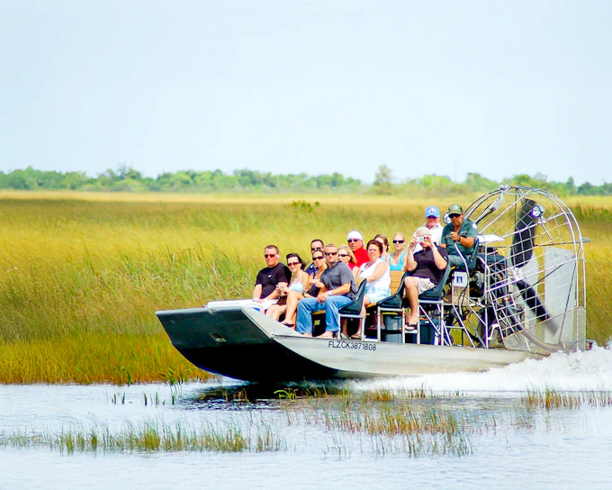 Everglades National Park: Airboat Tour with Reptile Exhibit