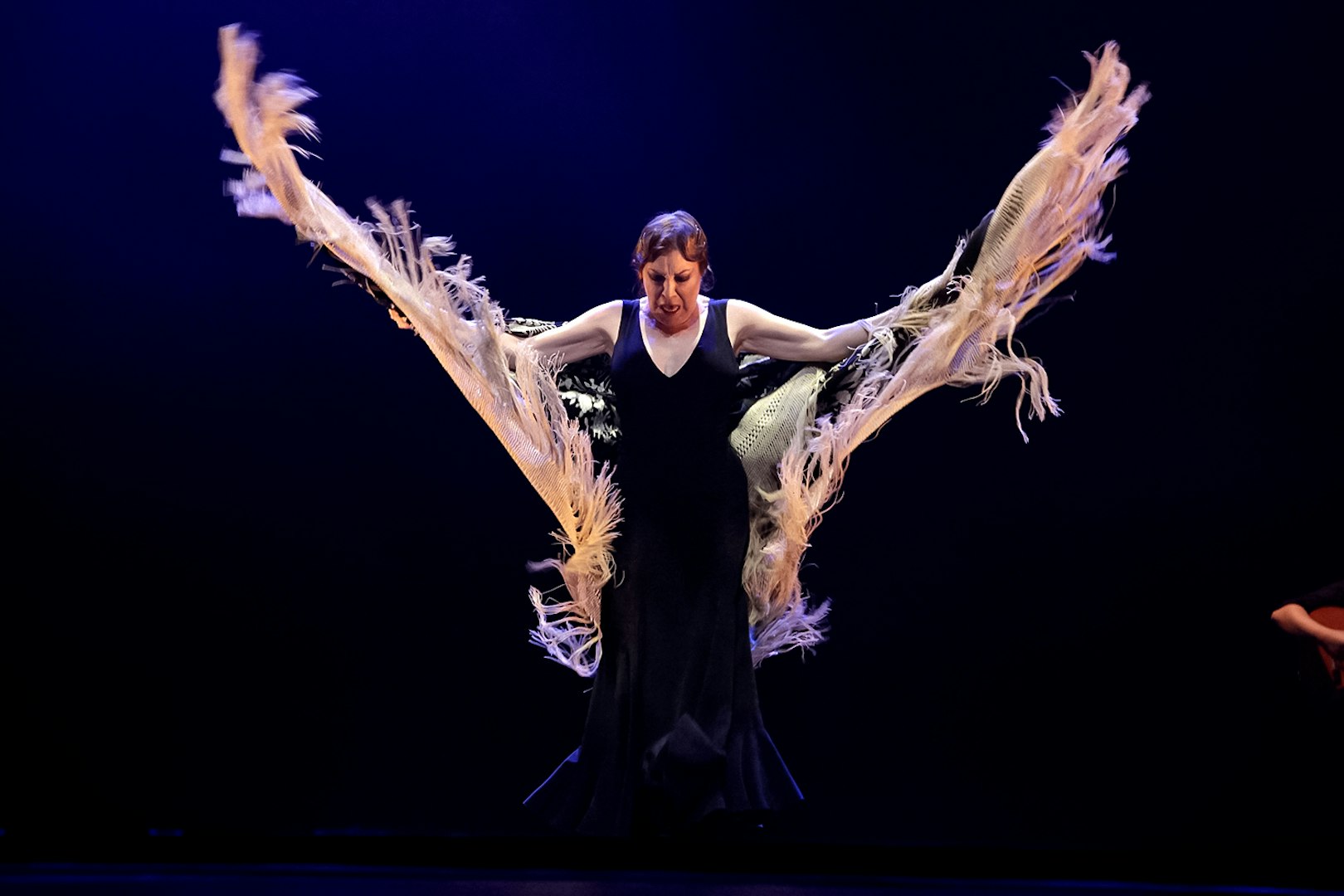 Flamenco dancer performing at Corral de la Morería in Madrid.