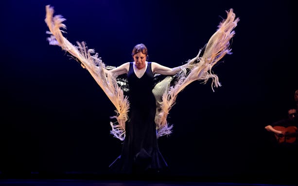 Flamenco dancer performing at Corral de la Morería in Madrid.